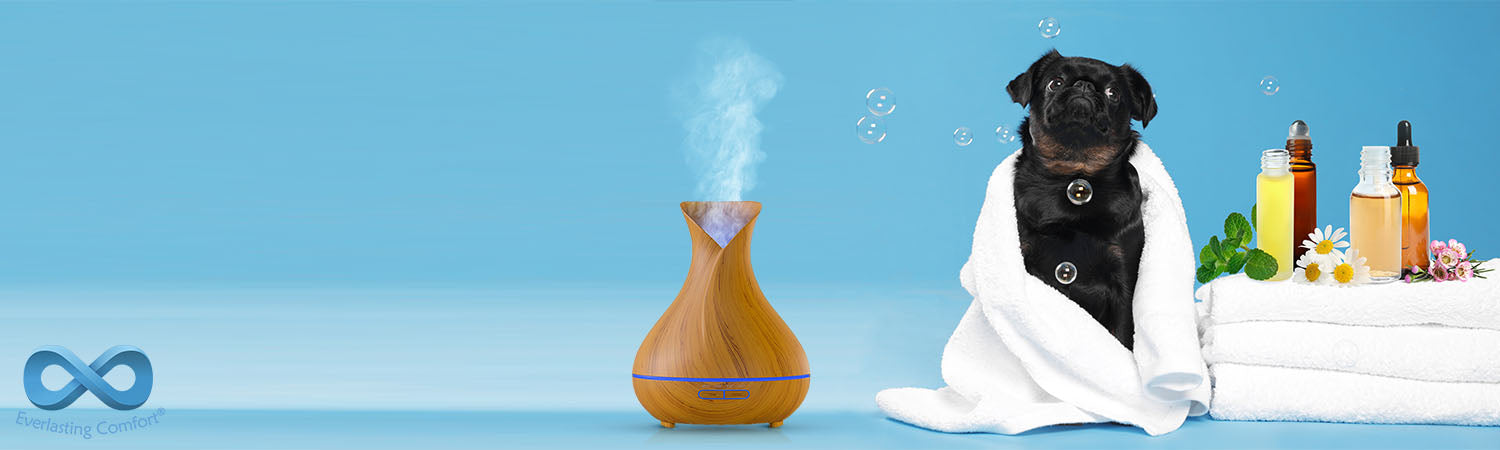 Essential oil to keep dogs off furniture store