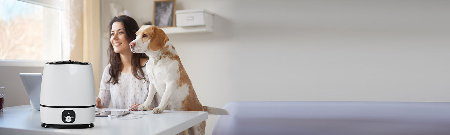 Do humidifiers shop help allergies