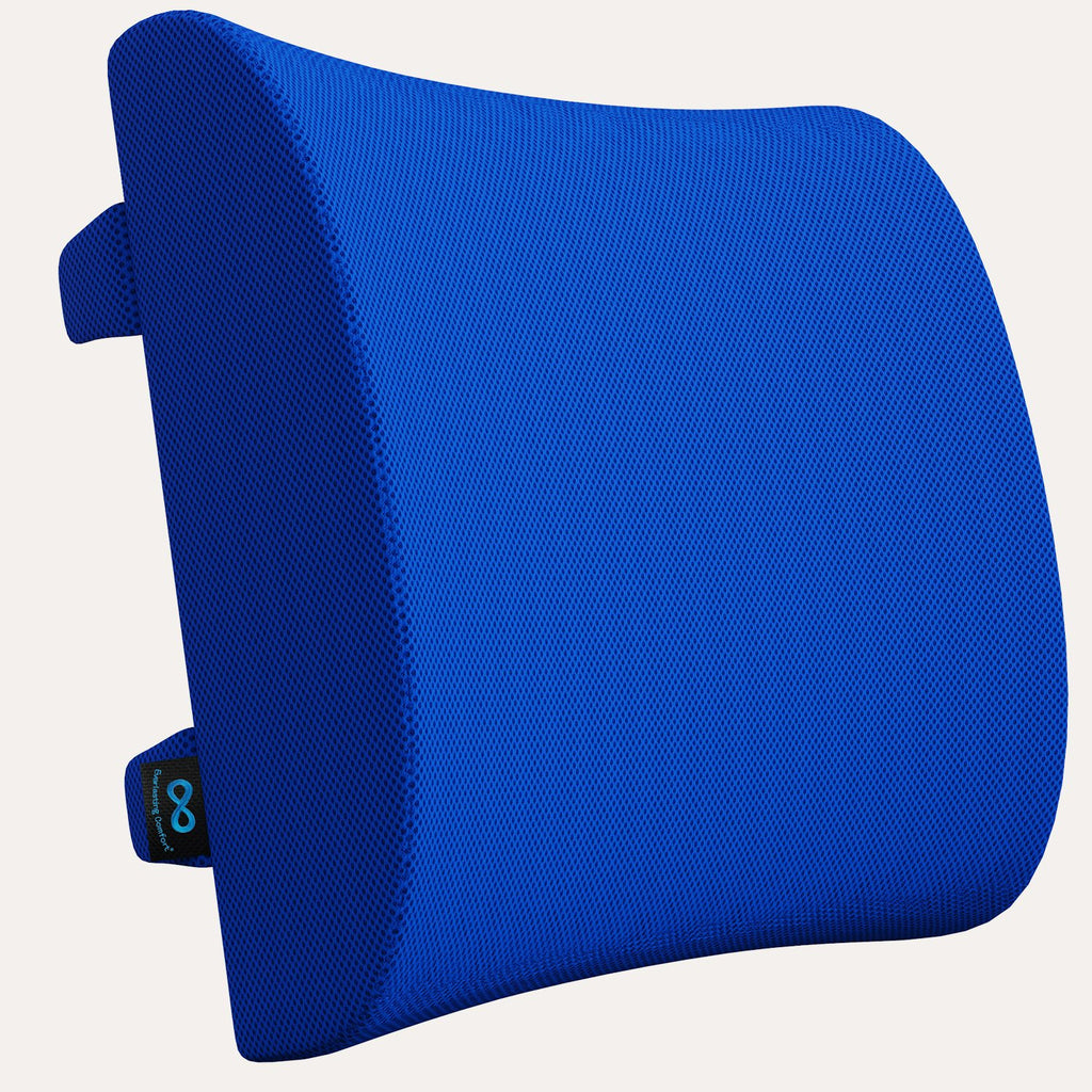 Everlasting Comfort Back Cushion Lumbar Support Pillow