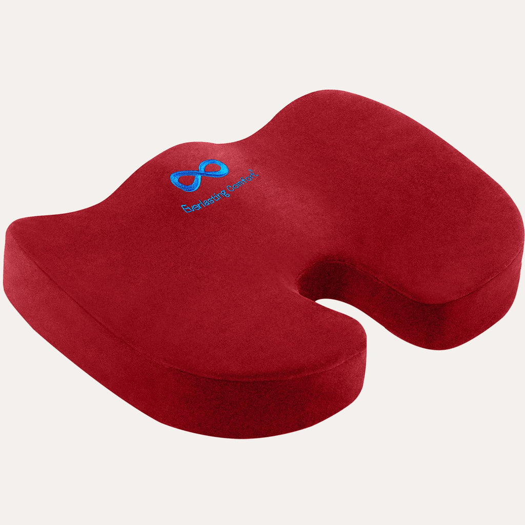 https://www.everlastingcomfort.net/cdn/shop/products/memory-foam-coccyx-seat-cushion-for-office-chair-31513423741116_1024x.png?v=1671698204